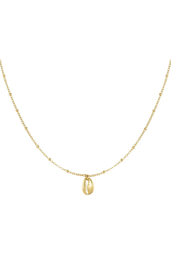 Ketting kauri
