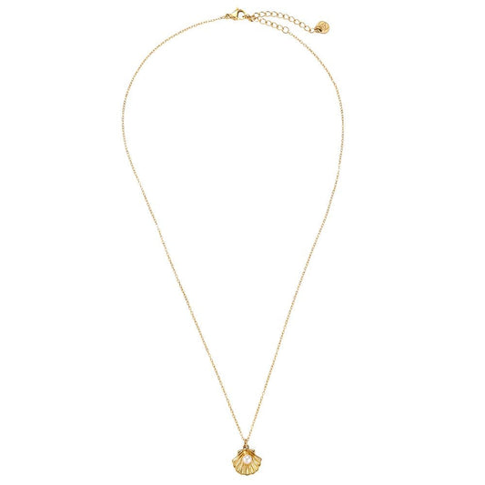 Ketting Shell Pearl