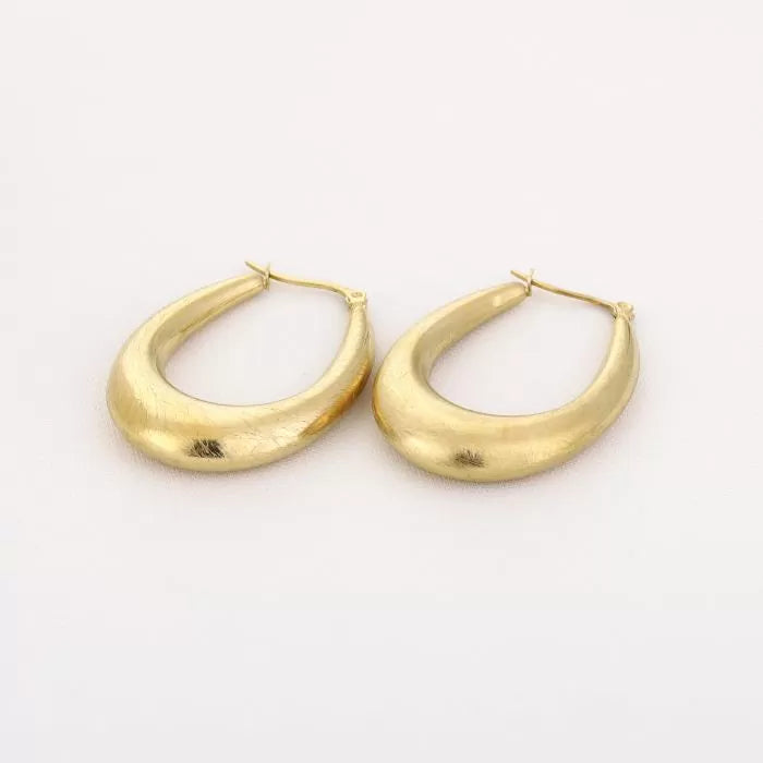 Oorbellen Brushed oval hoops