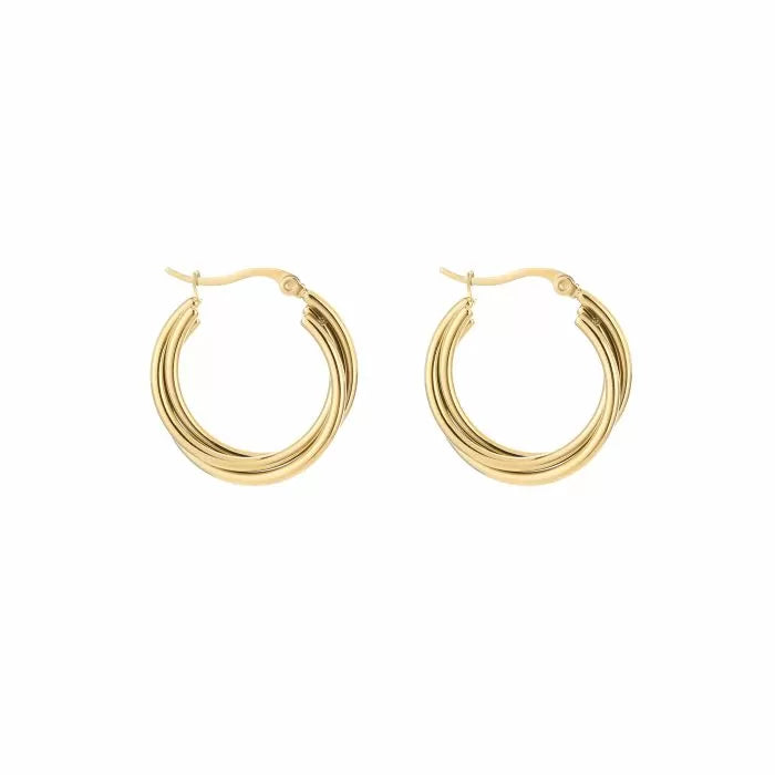 Oorbellen Twist & Shine
