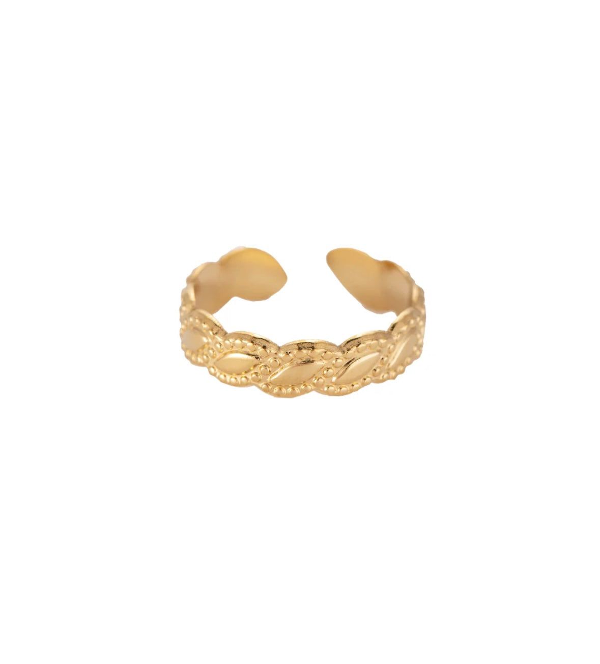 Ring Lizard