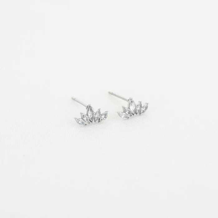 Oorbellen wings