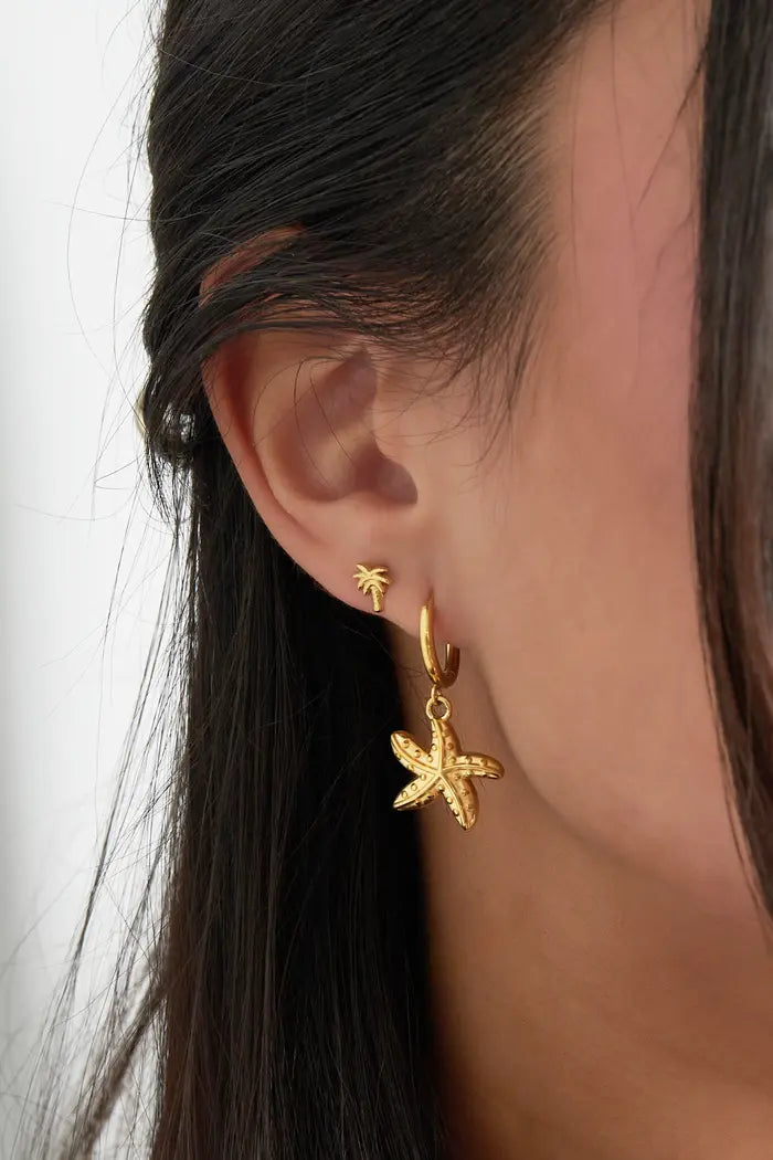 Oorbellen special starfish