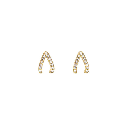 Oorbellen Wishbone