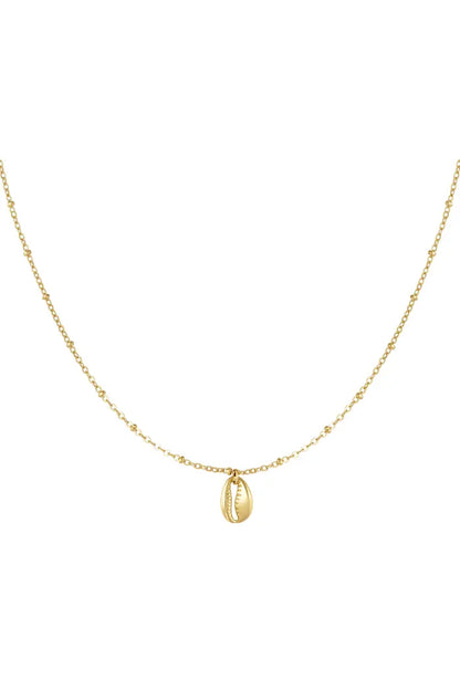 Ketting kauri