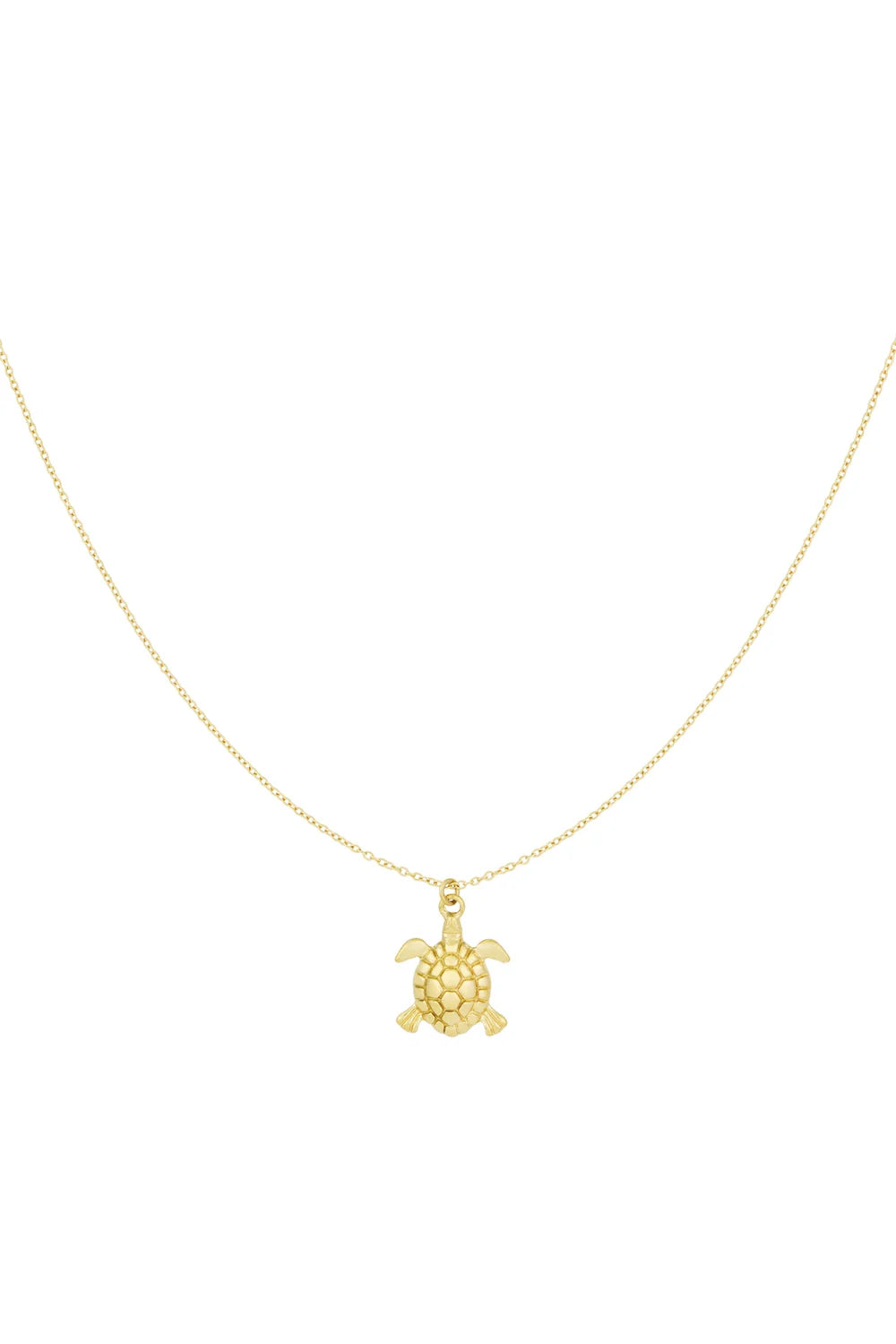 Ketting Turtle Tides
