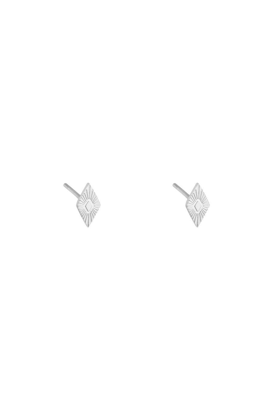 Ear-studs ruitje