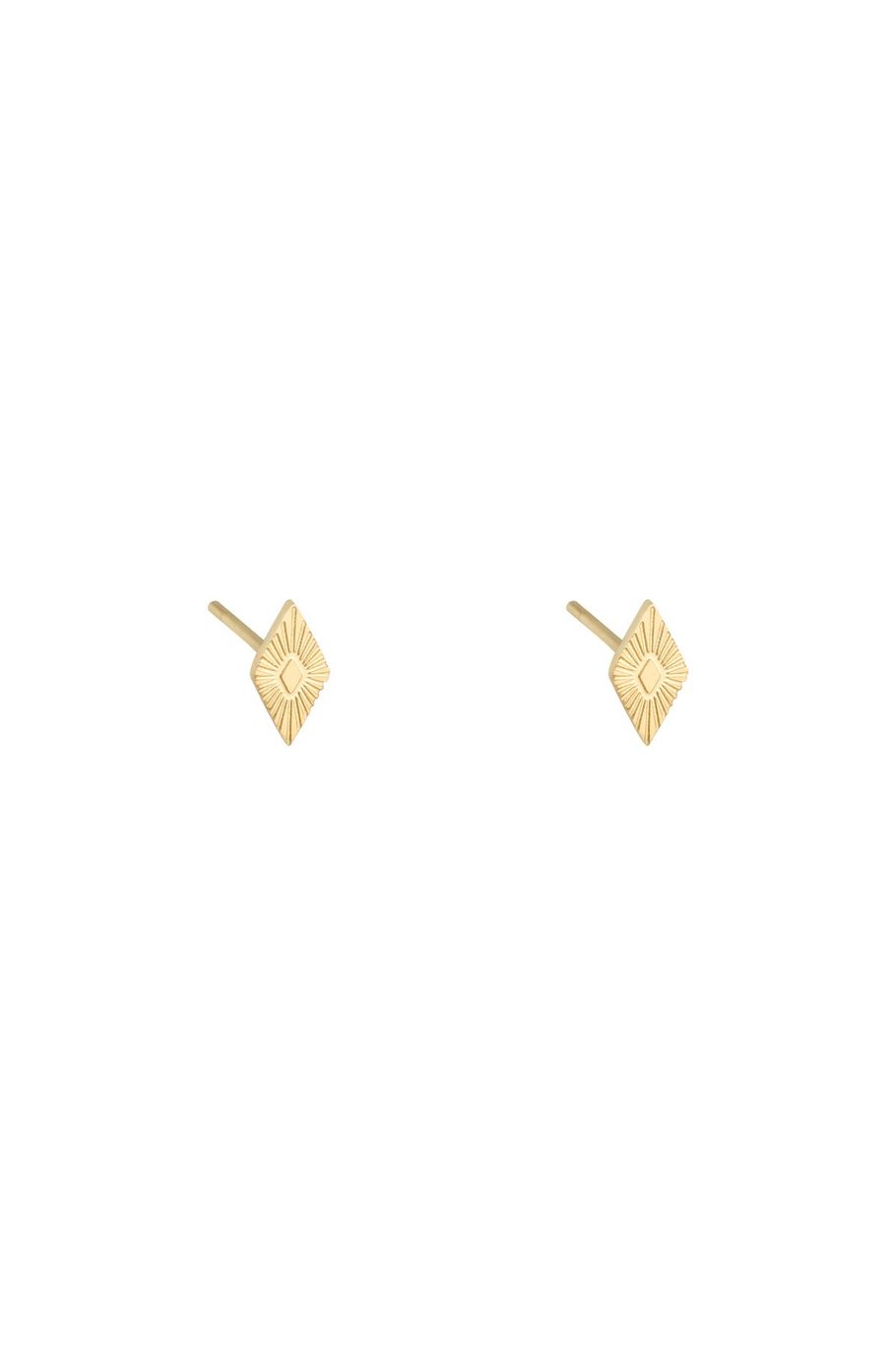 Ear-studs ruitje