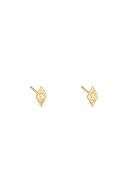 Ear-studs ruitje