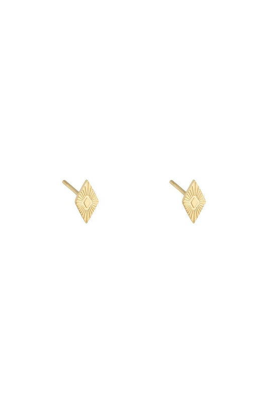 Ear-studs ruitje