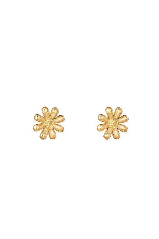 Ear-studs Daisy