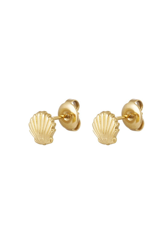Ear-studs Schelp