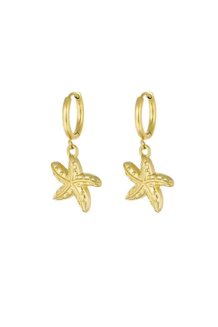 Oorbellen special starfish