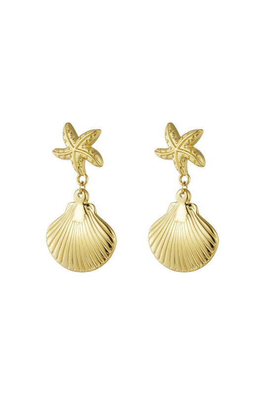 Oorbellen seastar shell