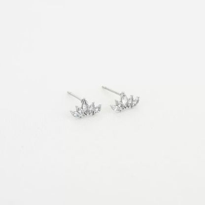 Oorbellen wings