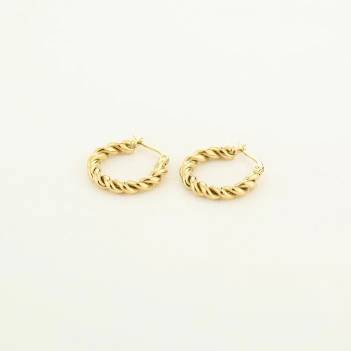 Oorbellen Twisted Hoop