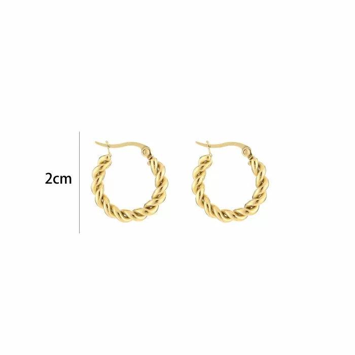 Oorbellen Twisted Hoop